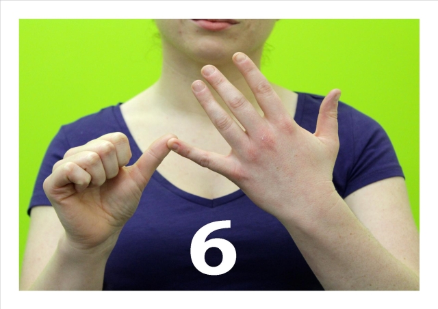 6